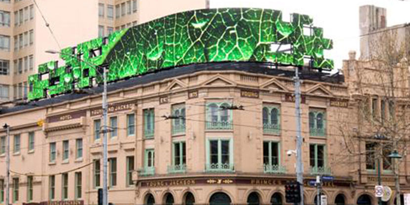 Young & Jacksons St Patricks Day